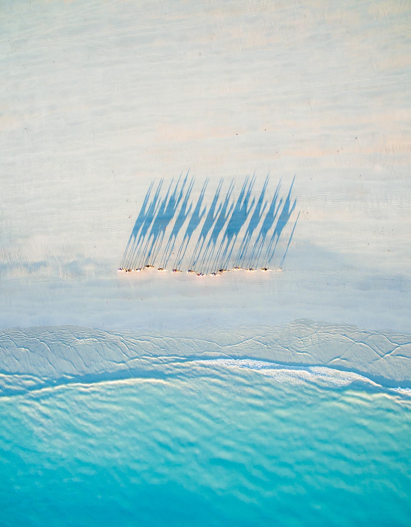 Overhead view of beach people's shadows in Ideas of Order Magazine